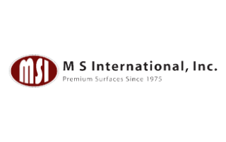 MSI International Logo